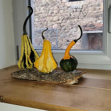 Сasa de vacaciones Charmante Maison Totalement Rénovée *