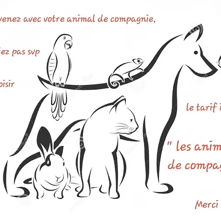 Charmante Maison Totalement Rénovée * Saint-Géron