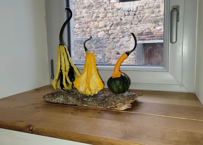 Dom wakacyjny Charmante Maison Totalement Renovee *