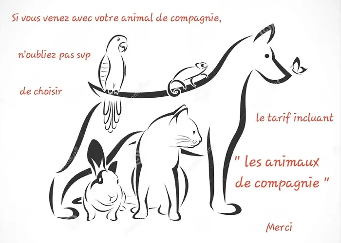 Charmante Maison Totalement Renovee * Saint-Géron